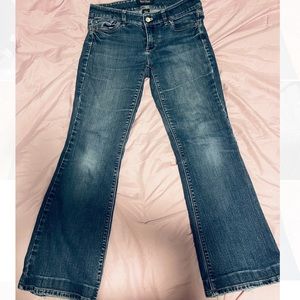WHITE HOUSE BLACK MARKET JEANS (PETITE)